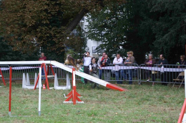 foire-haricots 2011-09-17et18